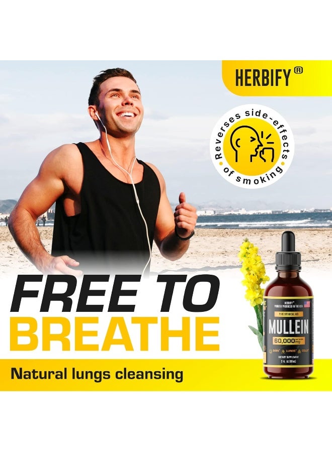 HERBIFY Mullein Extract 2 oz, Alcohol-Free Tincture, Organic Mullein Leaf and Flowers Blend (Verbascum Densiflorum) - Image 3